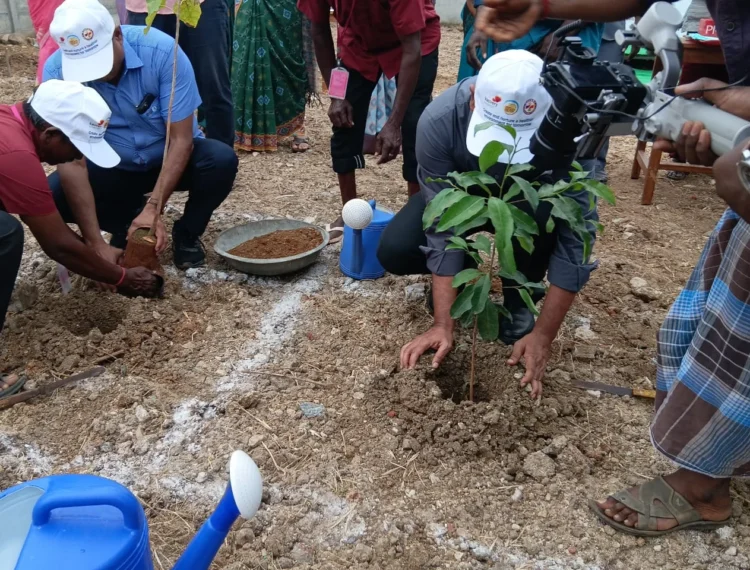 Trichy-Seed-Miyawaki-2 Trichy-Seed-Miyawaki-2